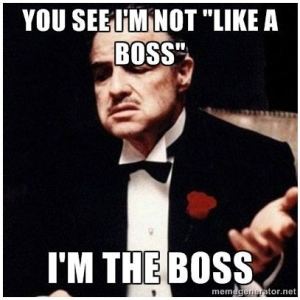 You-see-im-not-like-a-boss-i-am-the-boss